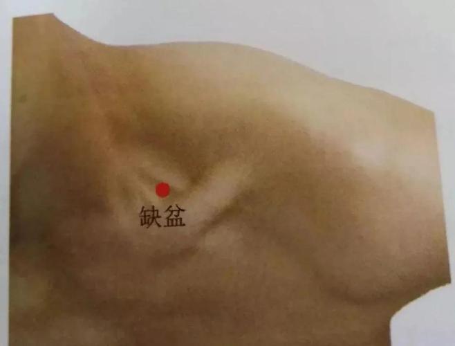 锁骨上面是什么穴位