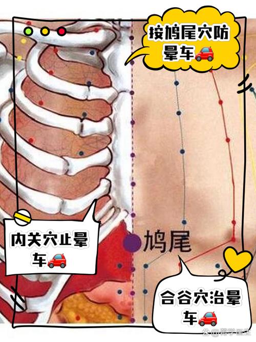 晕车点那个穴位好图