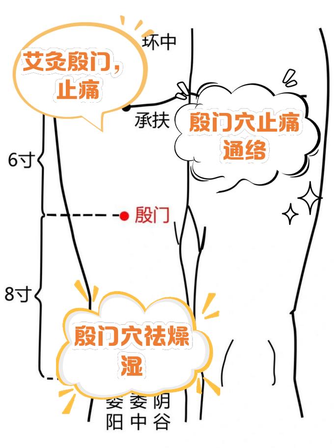 膝盖内侧有哪些穴位