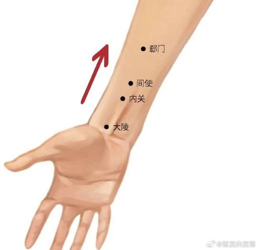 手腕上边是什么穴位