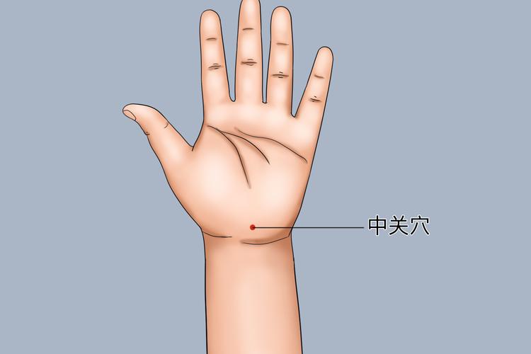手腕上边是什么穴位