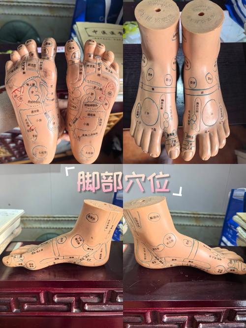 脚上哪个穴位是子宫