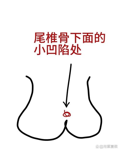 尾骨疼按摩什么穴位