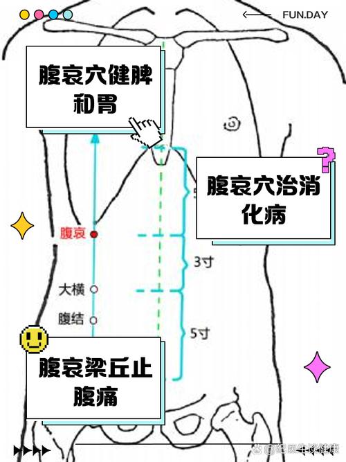 有助胰腺功能的穴位