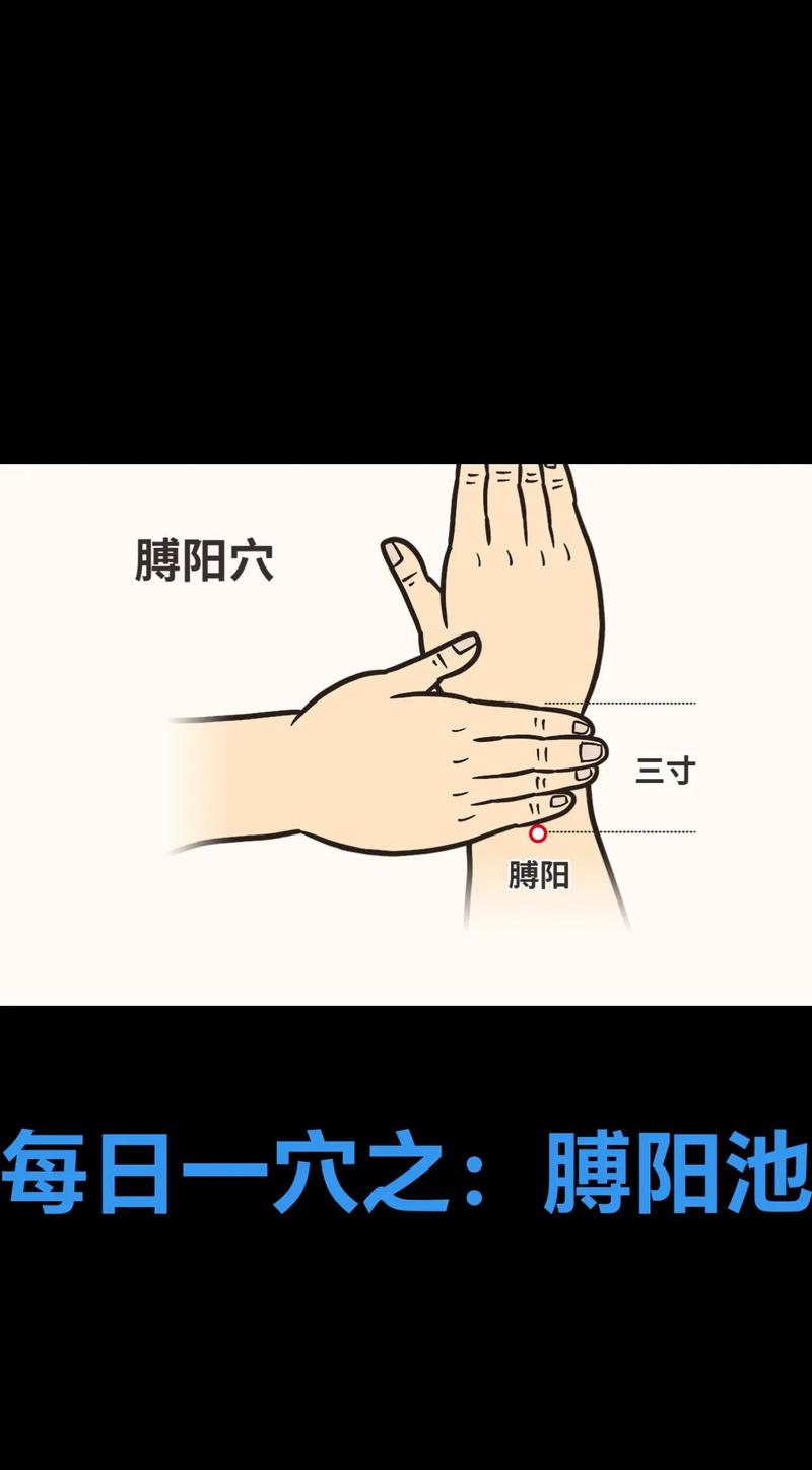 手脚怕冷灸哪些穴位