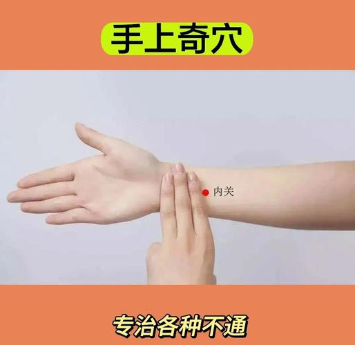 人体穴位内关穴视频