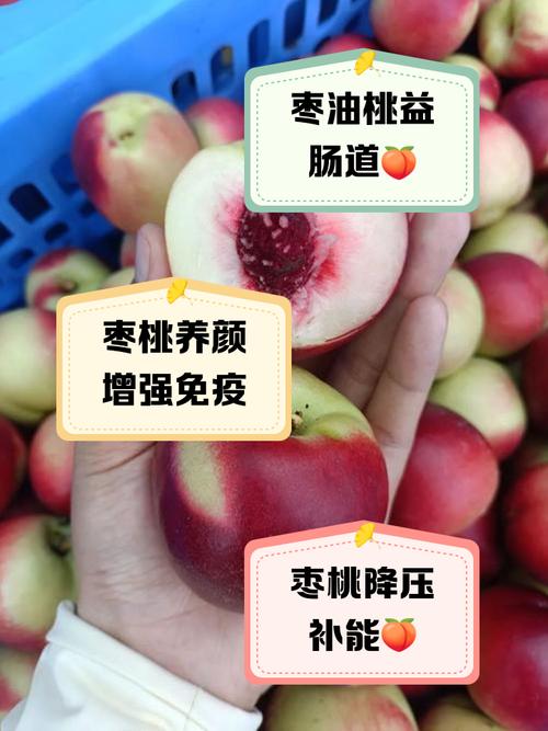 类风湿病人能吃桃子吗