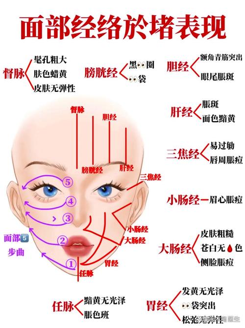脸部穴位位置及作用