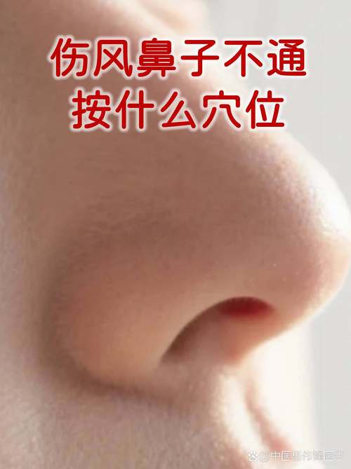 适合鼻塞推拿的穴位