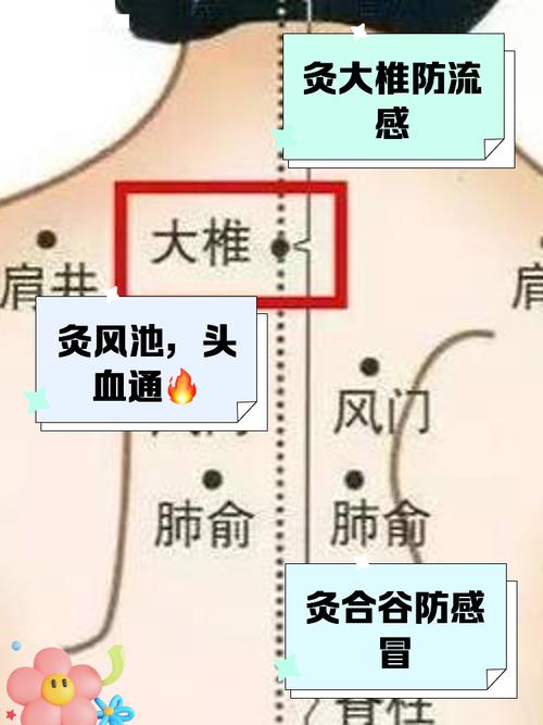 感冒特效穴位 周老