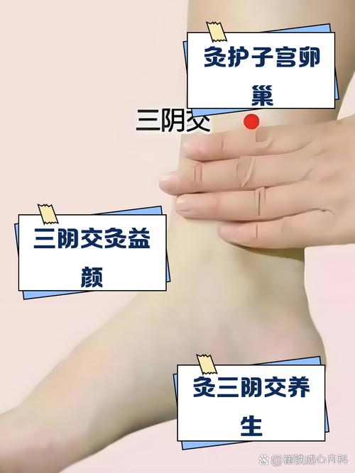 白带异常灸什么穴位