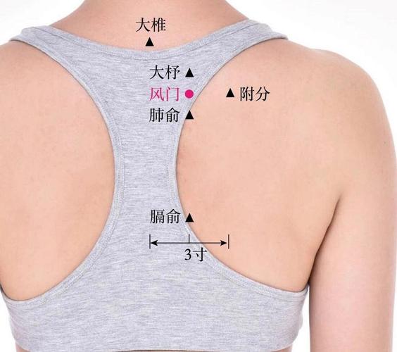 高热 穴位 贺普仁