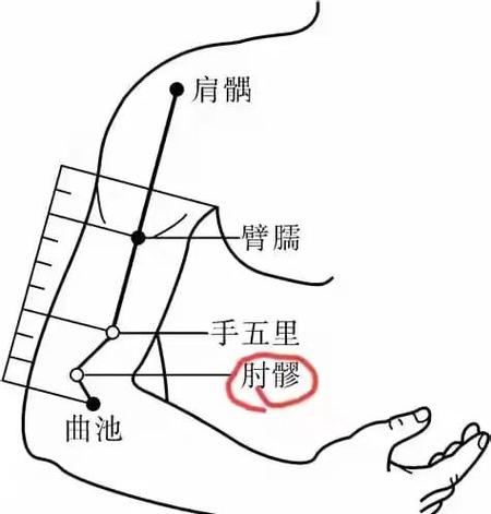 儿科上肢部穴位作业