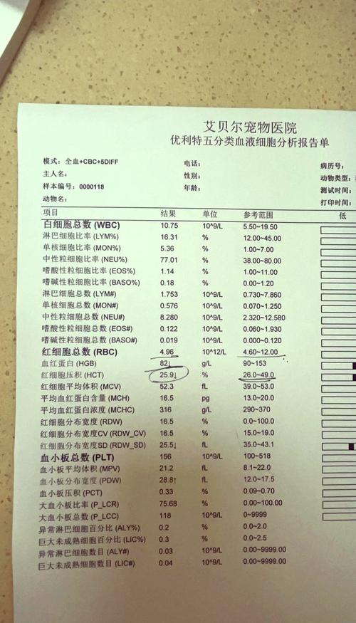 血化验风湿四项多少钱