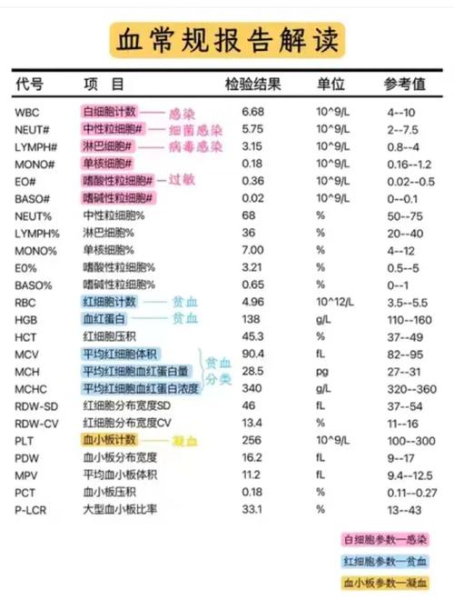 血化验风湿四项多少钱