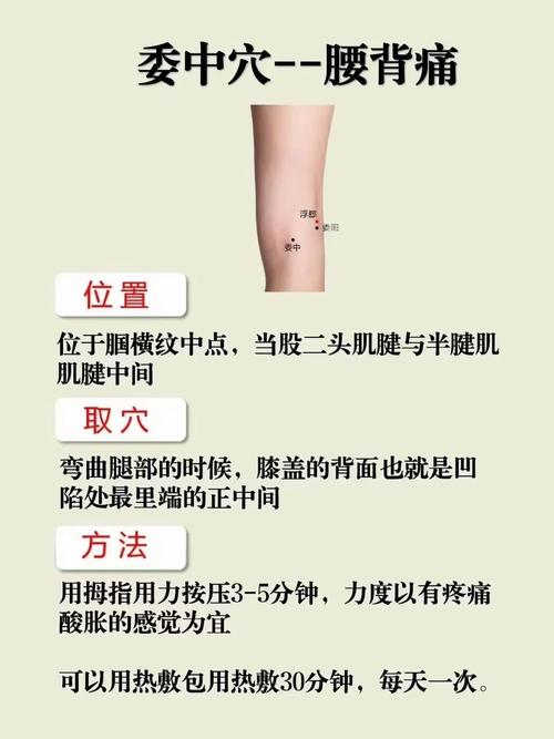 左腿右腿的高清穴位