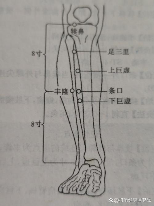 哪些穴位可以瘦小腿