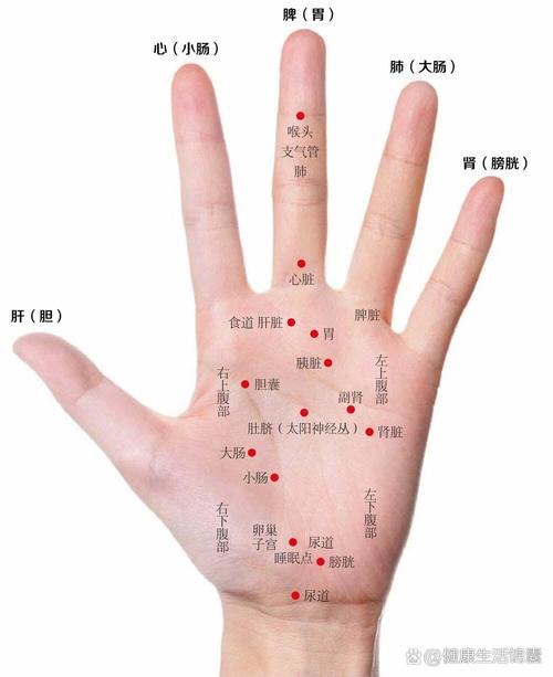 手掌侧部有哪些穴位