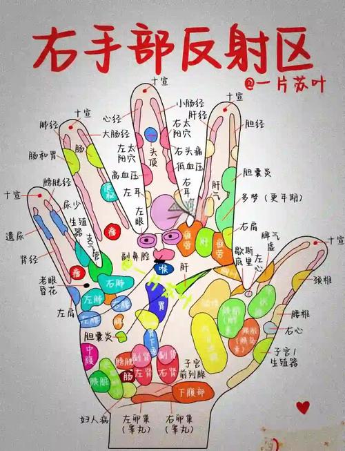 手掌侧部有哪些穴位