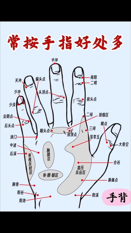 手掌侧部有哪些穴位