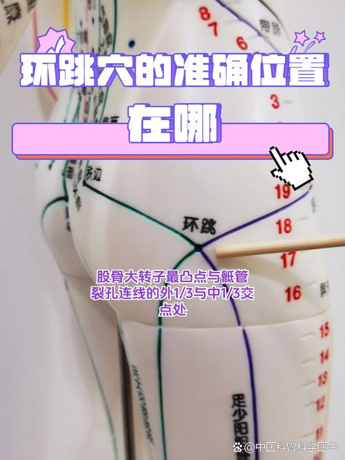 环跳准确位置图穴位