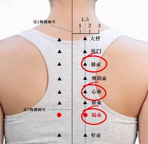 咳嗽背后贴什么穴位