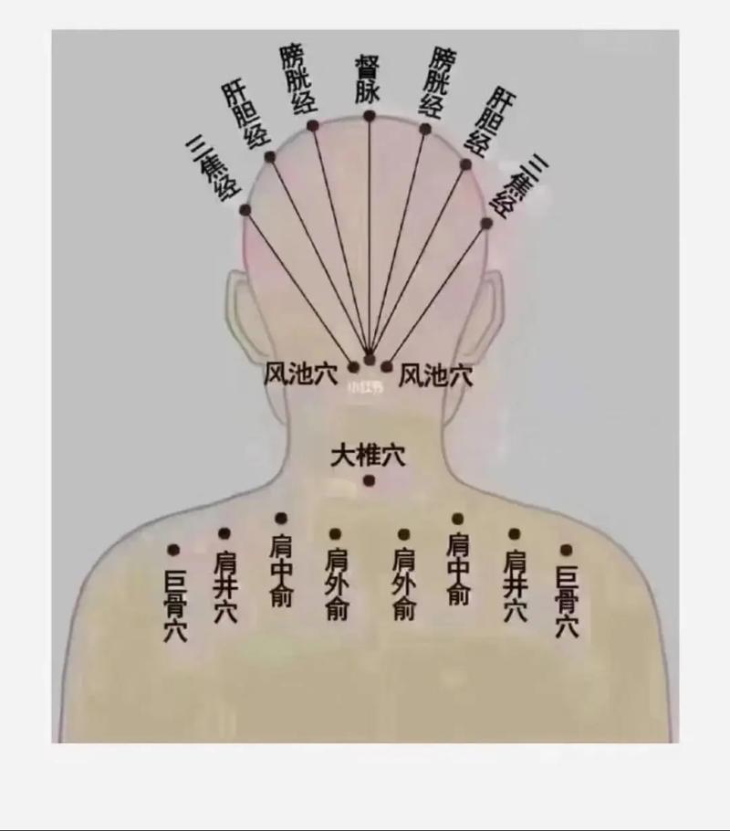 刮痧头疼神经疼穴位