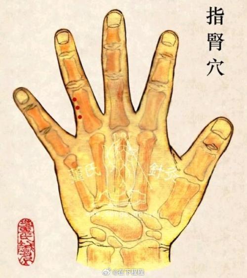 手上那个穴位治疗肾