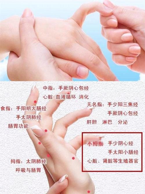 手上那个穴位治疗肾