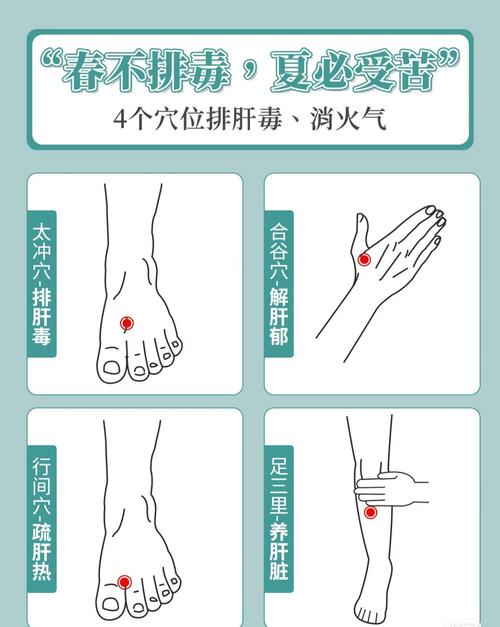 治疗青春痘 穴位