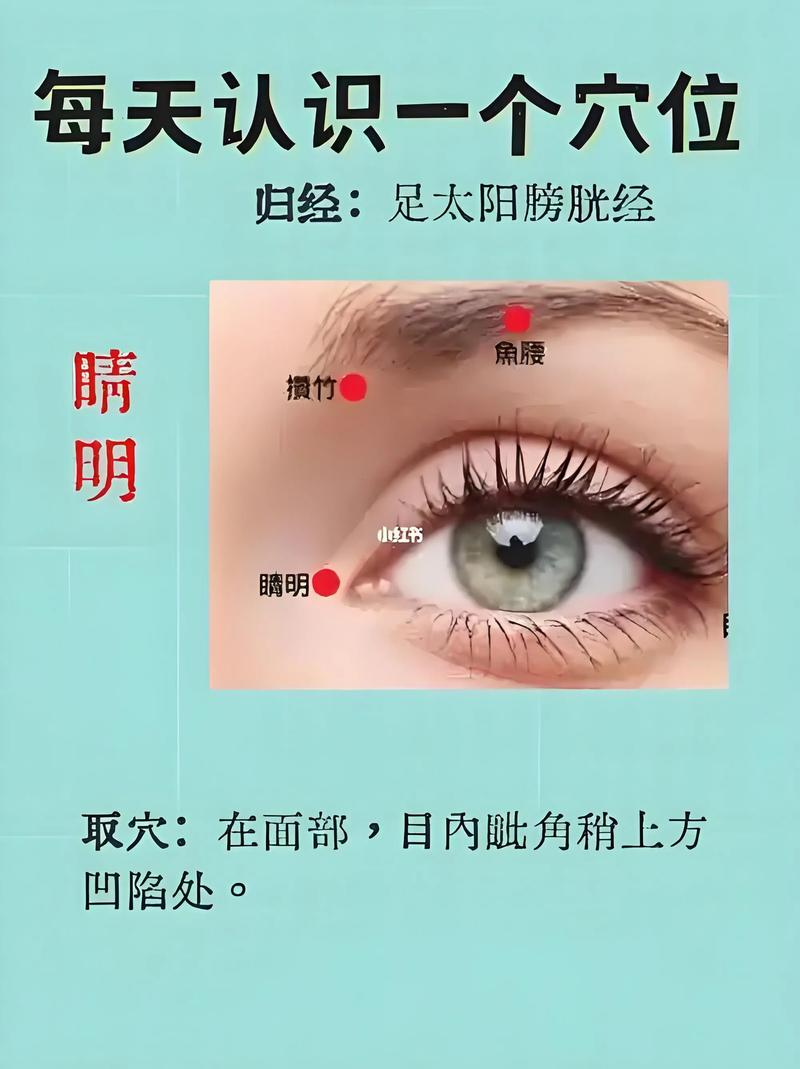 哪些穴位连接视神经