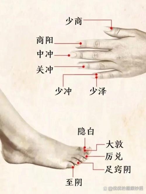 十二井穴位位置 图