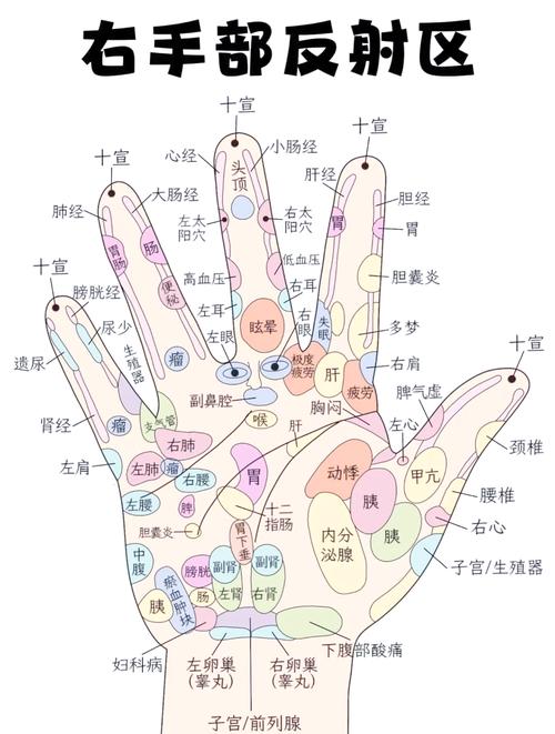 手上那个穴位治眼花