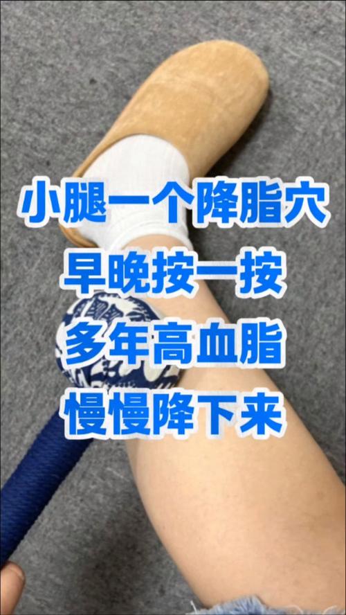 高血脂针灸什么穴位