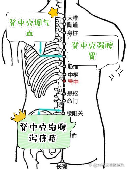 脊柱相关穴位信息图