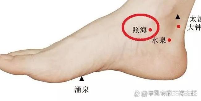 列缺 照海穴位图谱