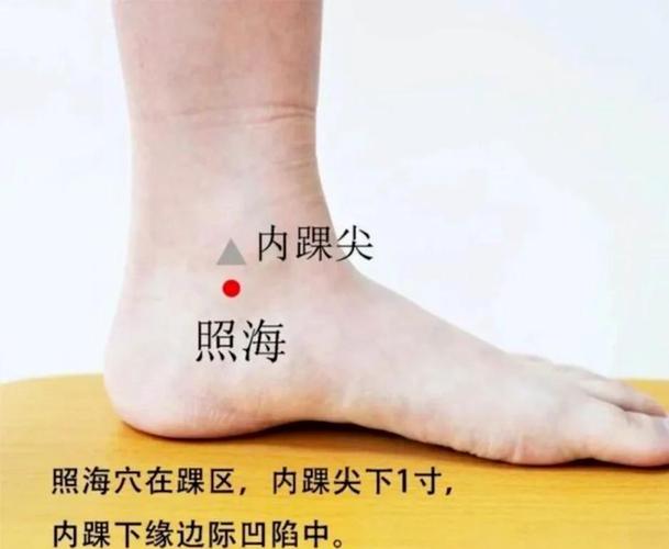 列缺 照海穴位图谱