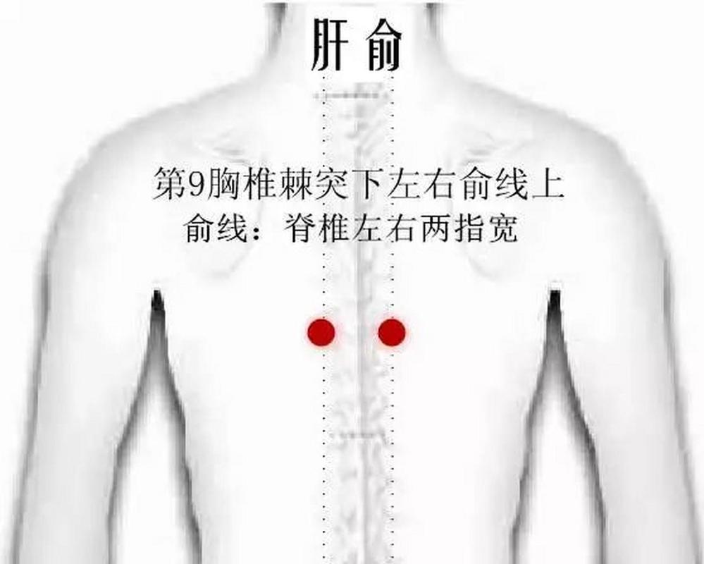 肝炎按哪个穴位最好