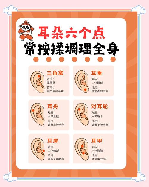 按耳朵穴位预防近视