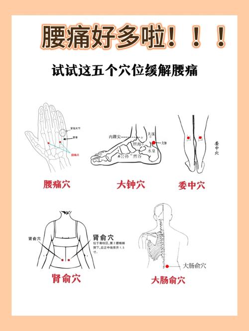 人体肾穴位治疗腰疼