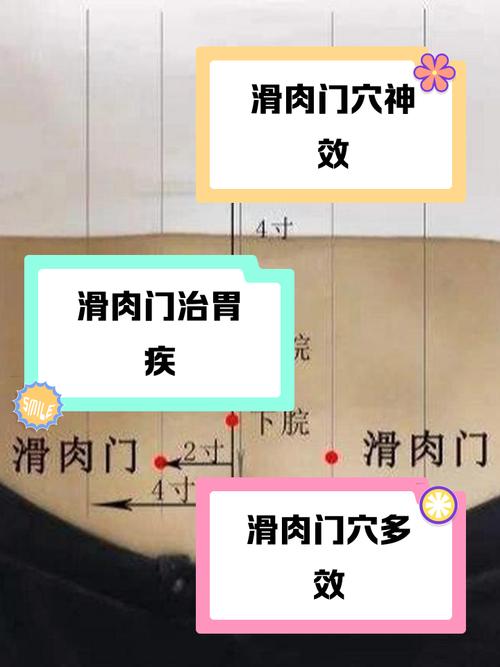 滑肉门穴位置与作用