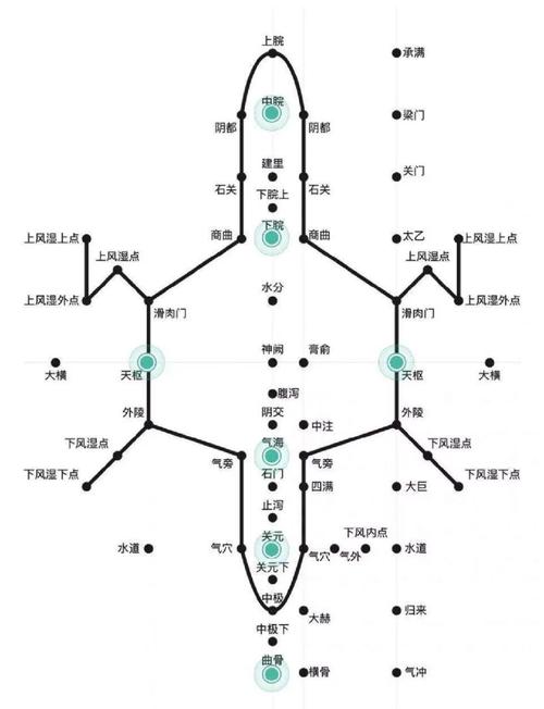 肚子按摩哪个穴位图