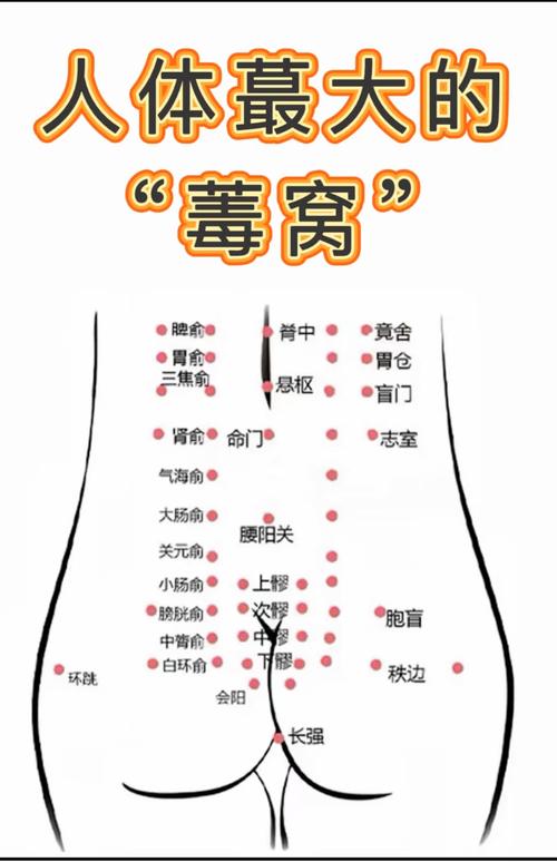 肚子按摩哪个穴位图