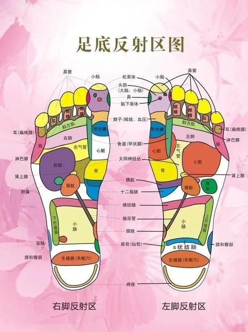 大脚趾边上什么穴位