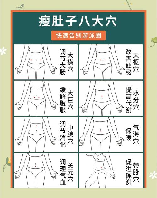 人体穴位图女性腹部