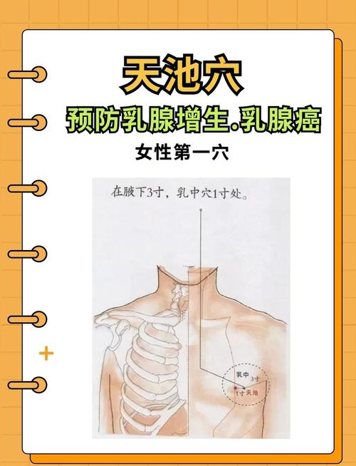 乳房部位穴位有哪些