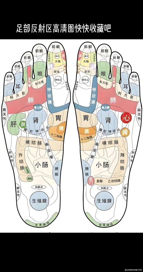 脚底穴位按摩降血糖