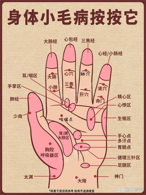 手部穴位位置及作用