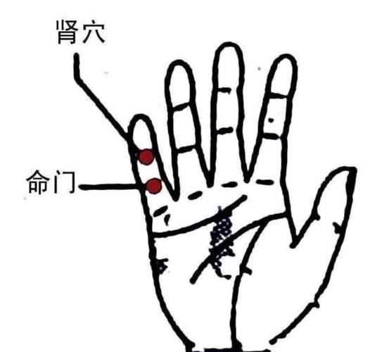 穴位补肾 用穴妙手