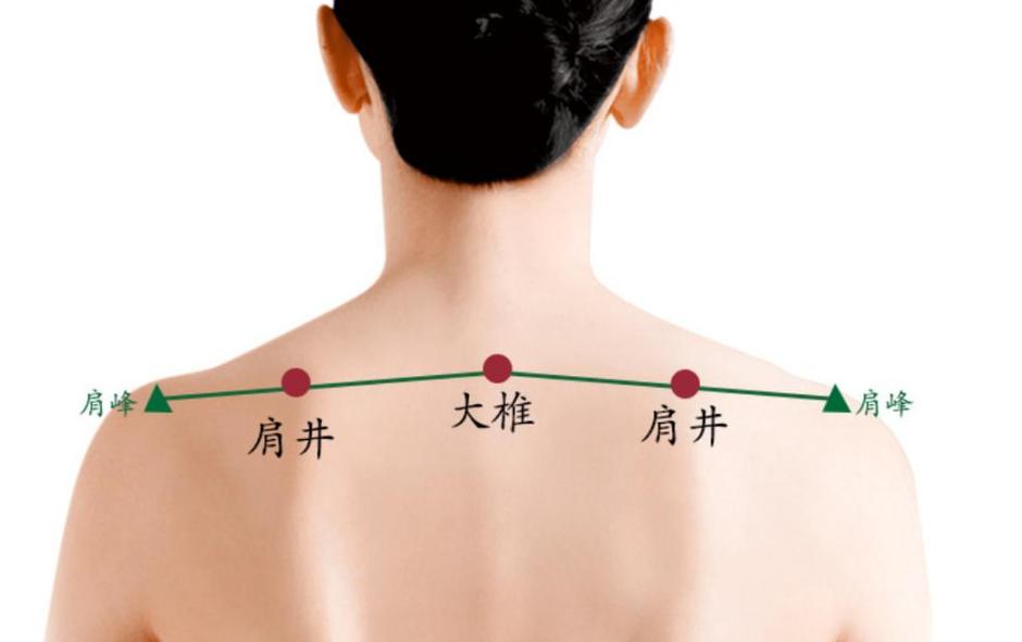 左侧肩膀有哪些穴位